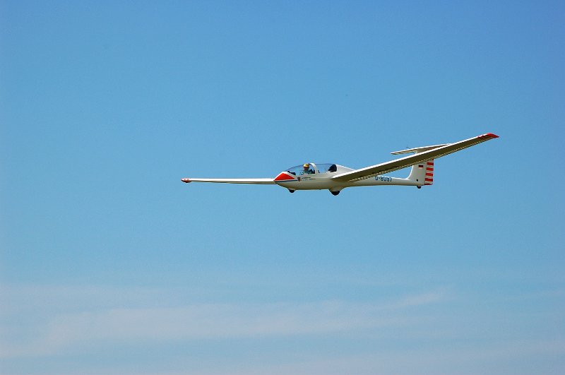 DSC_7312.JPG